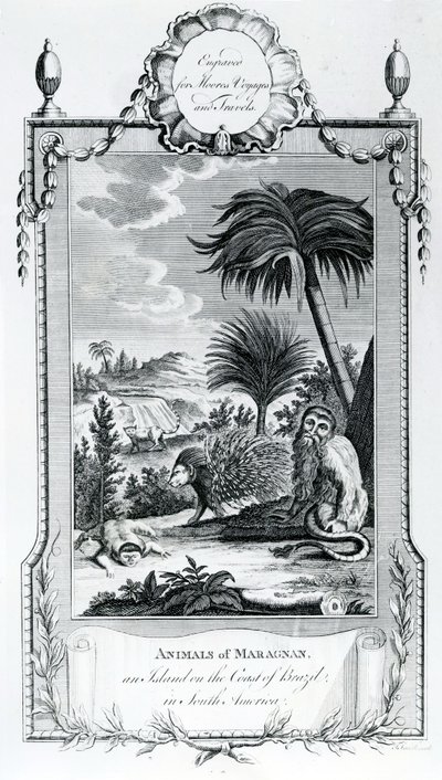 マラニャンの動物、Moores Voyages and Travels、1778年のイラスト 作： English School