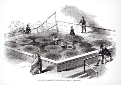 1849年のチャッツワースにある大温室のビクトリアレジアのスイレンのアニーパクストン 作： English School