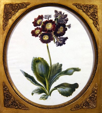 馭者（ぎょしゃ）」1850年頃（紙に水彩画 作： English School