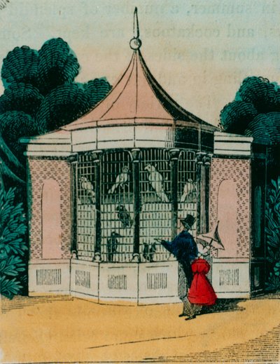 ロンドン動物園のオウムとオウムの鳥小屋。 1840年代 作： English School