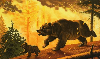 森林火災から逃げるクマとその子 作： English School
