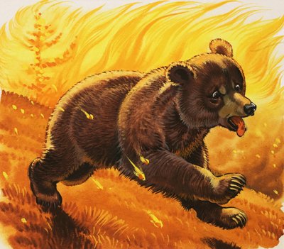 森林火災を逃れるクマの子 作： English School