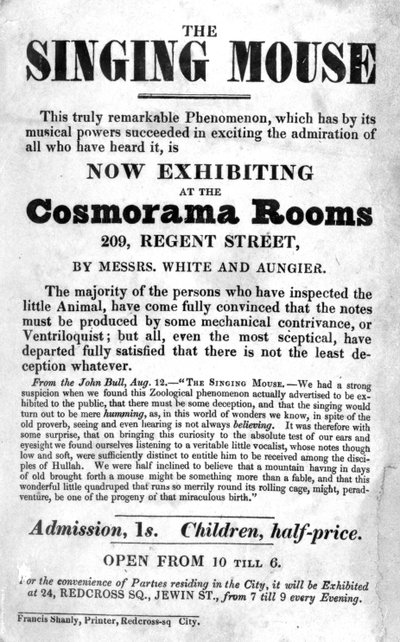 コスモラマルームズ、209リージェントストリート、c。 1836 作： English School