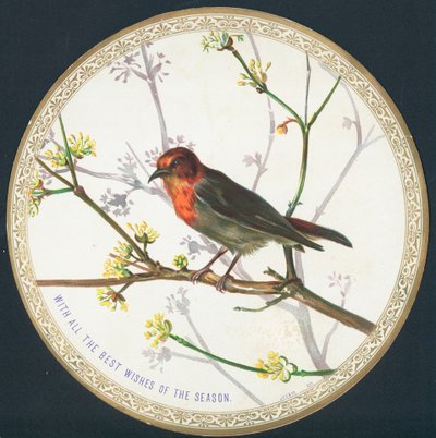 鳥、クリスマスカード 作： English School