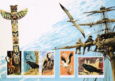 アルバトロス、ルーク、フェニックスなどの病気の鳥 作： English School