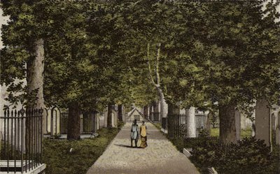 バーミンガム: Harbourne Avenue (カラーリソ) 作： English School