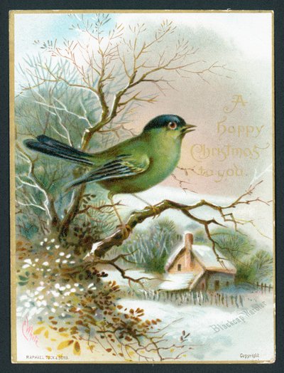 Blackcap Warbler、クリスマスカード 作： English School