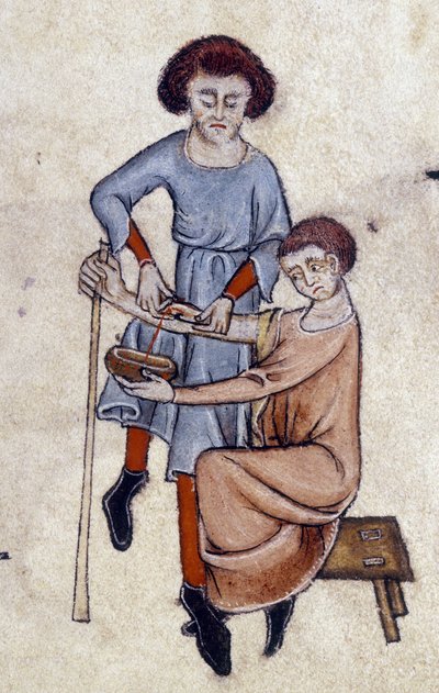 血まみれ、Luttrell Psalter、c.1325-35（ベラム）から 作： English School