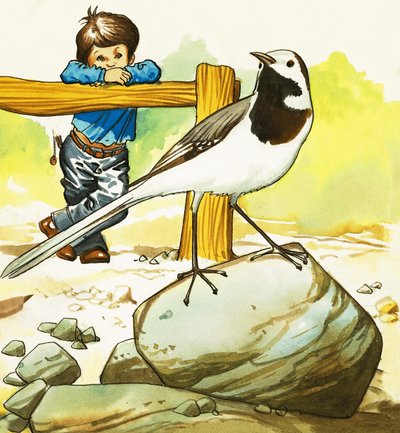正体不明の鳥を見ている少年 作： English School