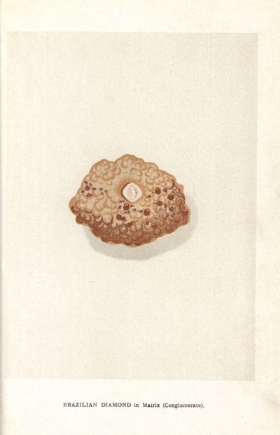 Edwin Streeter の "Precious Stones and Gems"、ロンドン、George Bell & Sons のマトリックス (コングロマリット) のブラジルのダイヤモンド 作： English School