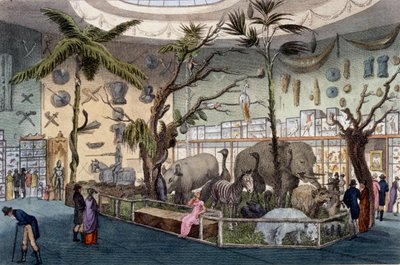 Bullocks Museum、22 Piccadilly、London、Ackermanns Repository of Arts、1809 作： English School
