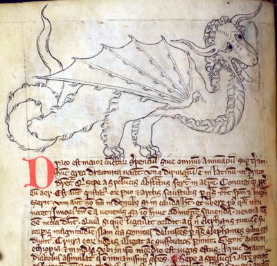 CCA-LitMs - D - 10fol。 24vドラゴン、Bestiaryから 作： English School