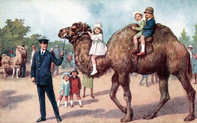 子供を乗せたラクダ（ロンドン動物園）（カラーリトグラフ 作： English School