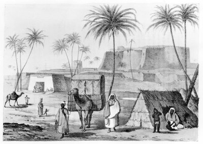 GF Lyonによる北アフリカ旅行記からのリビア、フェザンのMorzoukでのラクダのくず、1821年公開 作： English School