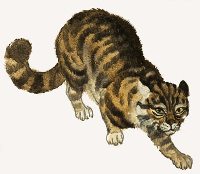 猫 作： English School
