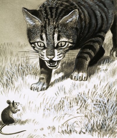 ネズミに近づく猫 作： English School