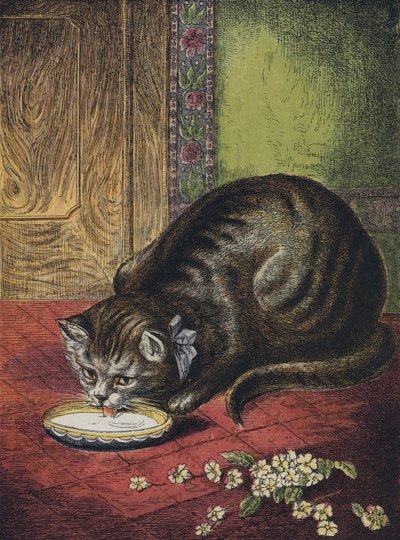牛乳を飲む猫 作： English School