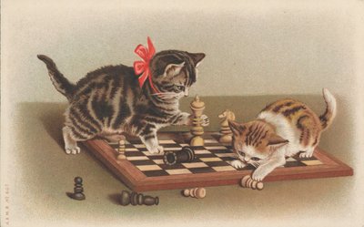 チェスをする猫 作： English School