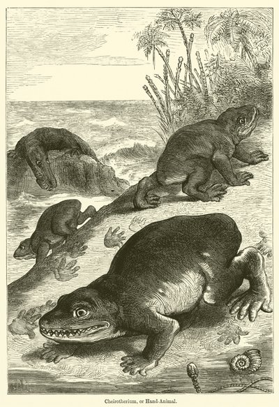 Cheirotherium, or Hand-Animal (e.g. engraving) 作： English School