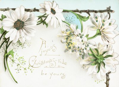 クリスマスの花、クリスマスカード 作： English School