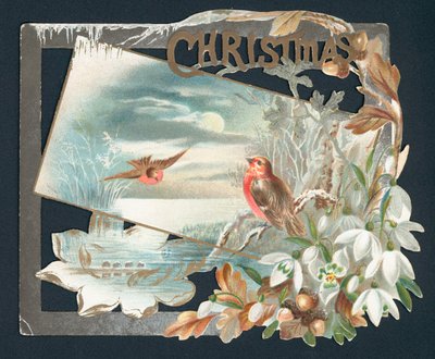 2つのロビン付きのクリスマスカード 作： English School