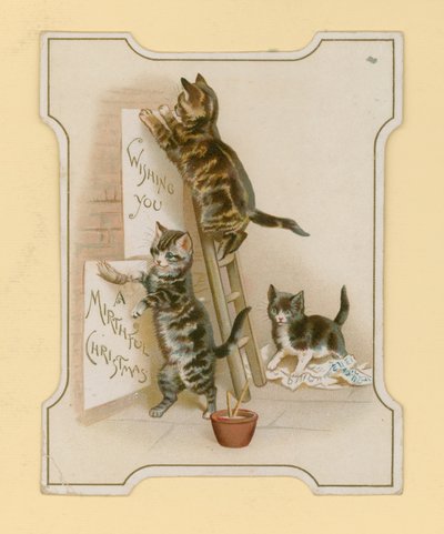 猫のクリスマスカード 作： English School