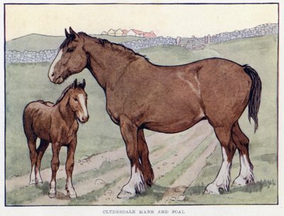 クライズデール馬と子馬 作： English School