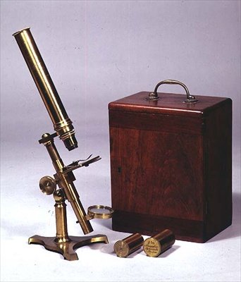 Amadio Optician、ロンドン、1860年頃製の複眼単眼顕微鏡（真鍮とシェラック） 作： English School
