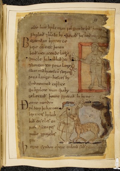 Cotton Vitellius A. XV、f.102、植物を持った裸の男。 話している 2 人の男性と、その間に羊のような獣である lertix、ベオウルフのイラスト、「Nowell Codex」(羊皮紙のインク) から 作： English School