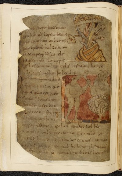 Cotton Vitellius A. XV f.103v、バルサムが育つ木。 左側に人間の脚と足を持っている獣頭の男、ドネストル、右側に人物、「ノウェル写本」（羊皮紙のインク）からのベオウルフのイラスト 作： English School
