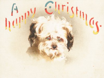 かわいい犬！クリスマスカード 作： English School