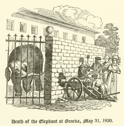 1820年5月31日、ジュネーブでの象の死 作： English School
