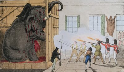 クロスエクセターチェンジでの高貴な象の破壊、1826年 作： English School