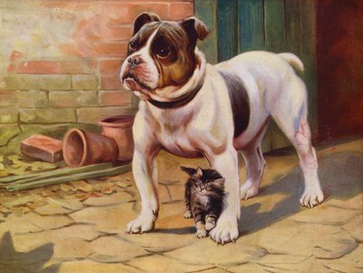 犬と子猫（カラーリソ） 作： English School