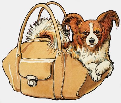 ハンドバッグの犬 作： English School
