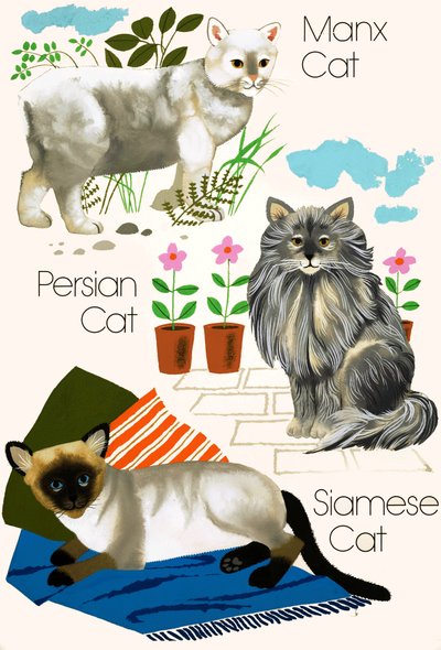 飼い猫 作： English School