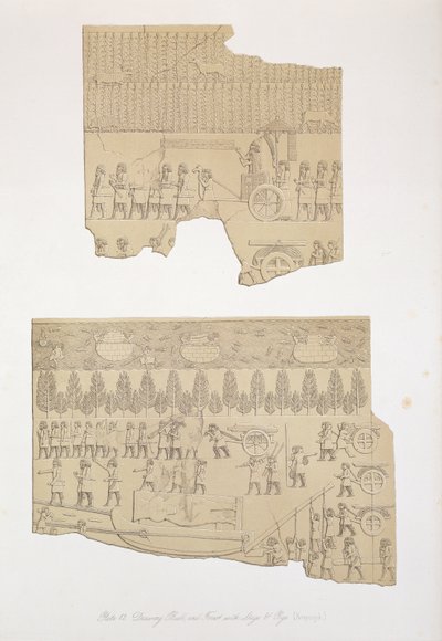 雄牛とクワガタとブタのいる森、コウジュンジク、Ninevehとその遺跡からのプレート12、オースティンヘンリーラヤード（1817-94）による1849年出版1849 作： English School