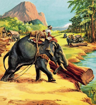 象。 LiuetによるElephant Billのイラスト。 JHウィリアムズ大佐 作： English School