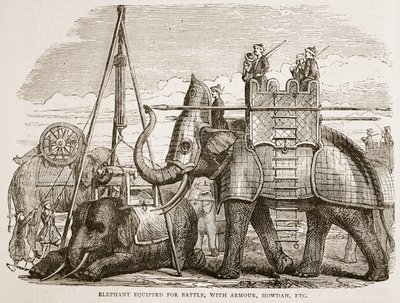 戦闘用に装備された象、鎧、ハウダーなど、ジェームズ・グラントによるパブのカッセルズ・イラストレイテッド・ヒストリー・オブ・インドのイラスト。 1879 作： English School