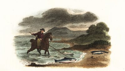 英国の漁師グラハムは、馬に乗って5メートルの3本槍を持って浅瀬でサーモンを狩る。 作： English School