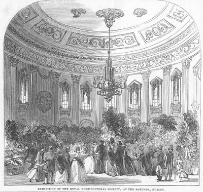ダブリンのロタンダで開催された王立園芸協会の展示、「The Illustrated London News」（1854年）のイラスト 作： English School