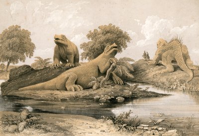 絶滅した動物 作： English School