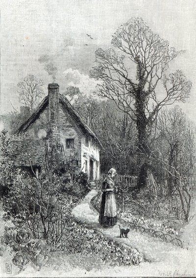 「レジャーアワー」からの最初の花、1888 作： English School
