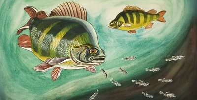 魚 作： English School