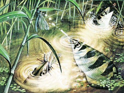 弾丸を発射する魚-射手は弾薬として水を使用します 作： English School