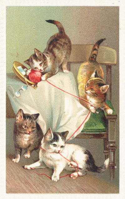 羊毛のボールで遊ぶ4匹の猫 作： English School