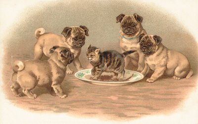 皿の上の子猫の周りに座っている4つのパグ犬 作： English School