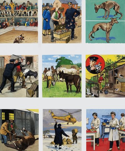 それから今まで：RSPCAの物語 作： English School