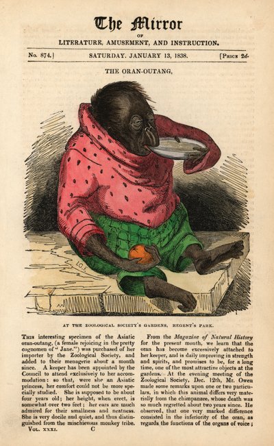 1838年1月13日、ロンドンのリージェンツ・パークにある動物学協会の庭園にオランウータンが到着したことを祝う『The Mirror』紙の一面（カラー印刷 作： English School