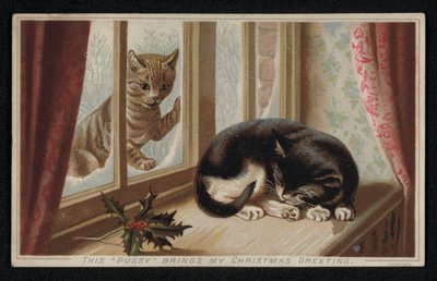 窓から寝ている猫を見ているジンジャー・キャット（クリスマス・グリーティング・カード）（クロモリ写真 作： English School